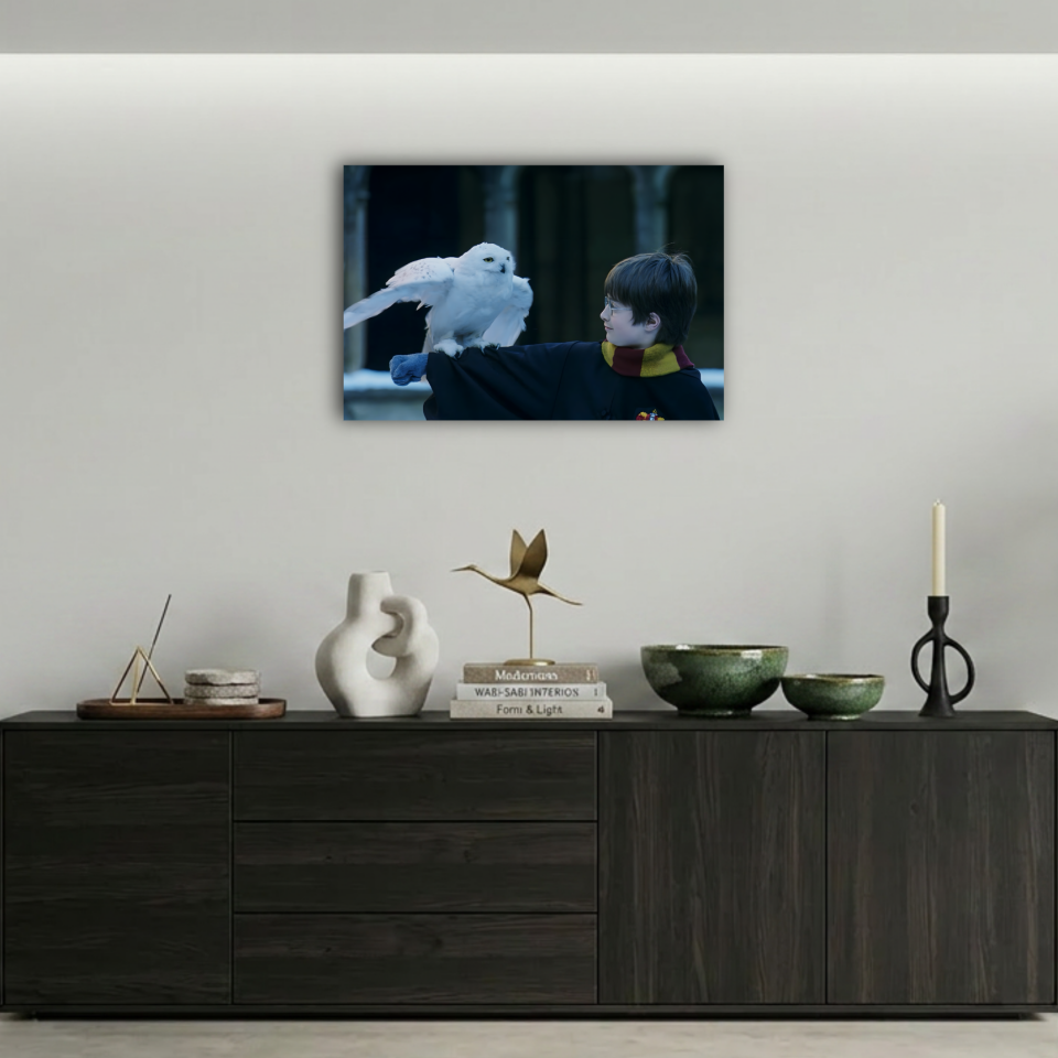 Harry Potter Hedwig Kar Baykuşu Metal Poster