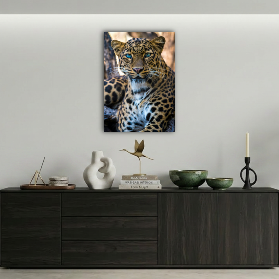 Mavi Gözlü Leopar Yakın Çekim Metal Poster