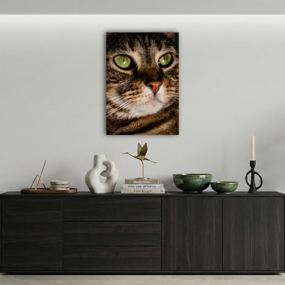 Yeşil Gözlü Tekir Kedi Portresi Metal Poster