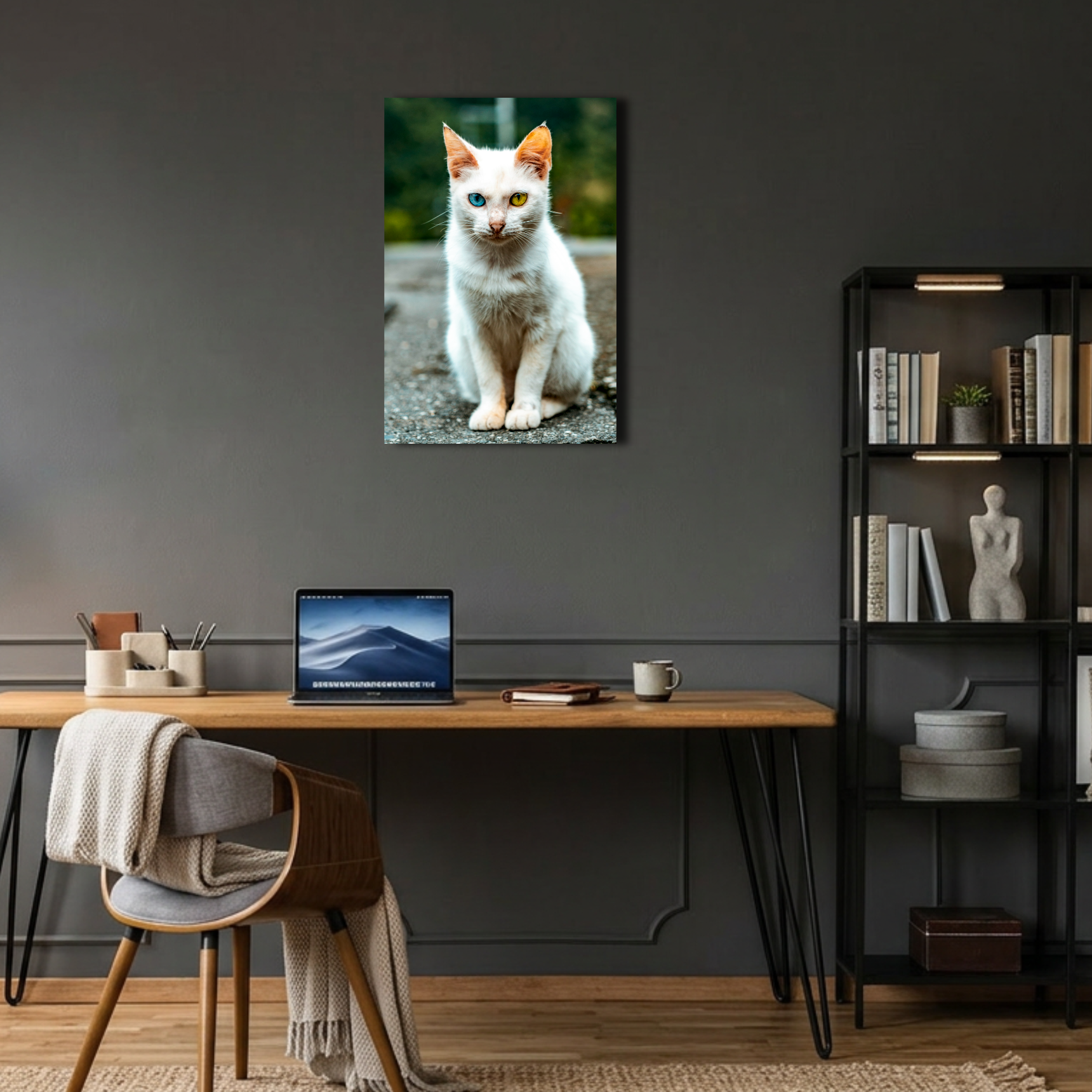 Beyaz Asil Kedi Metal Poster