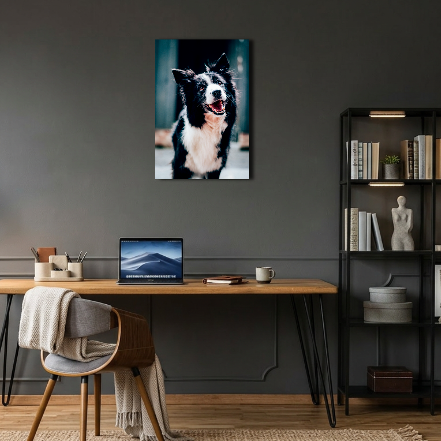 Mutlu Border Collie Köpek Metal Poster