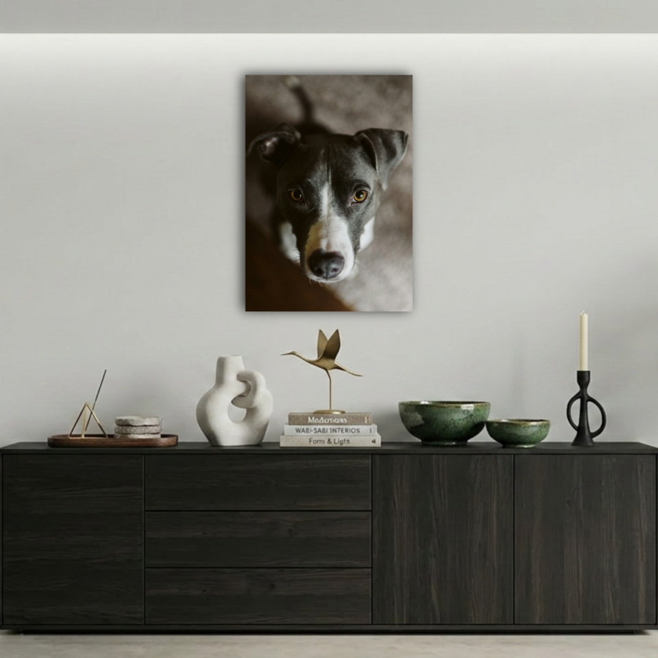 Masum Bakışlı Köpek Metal Poster