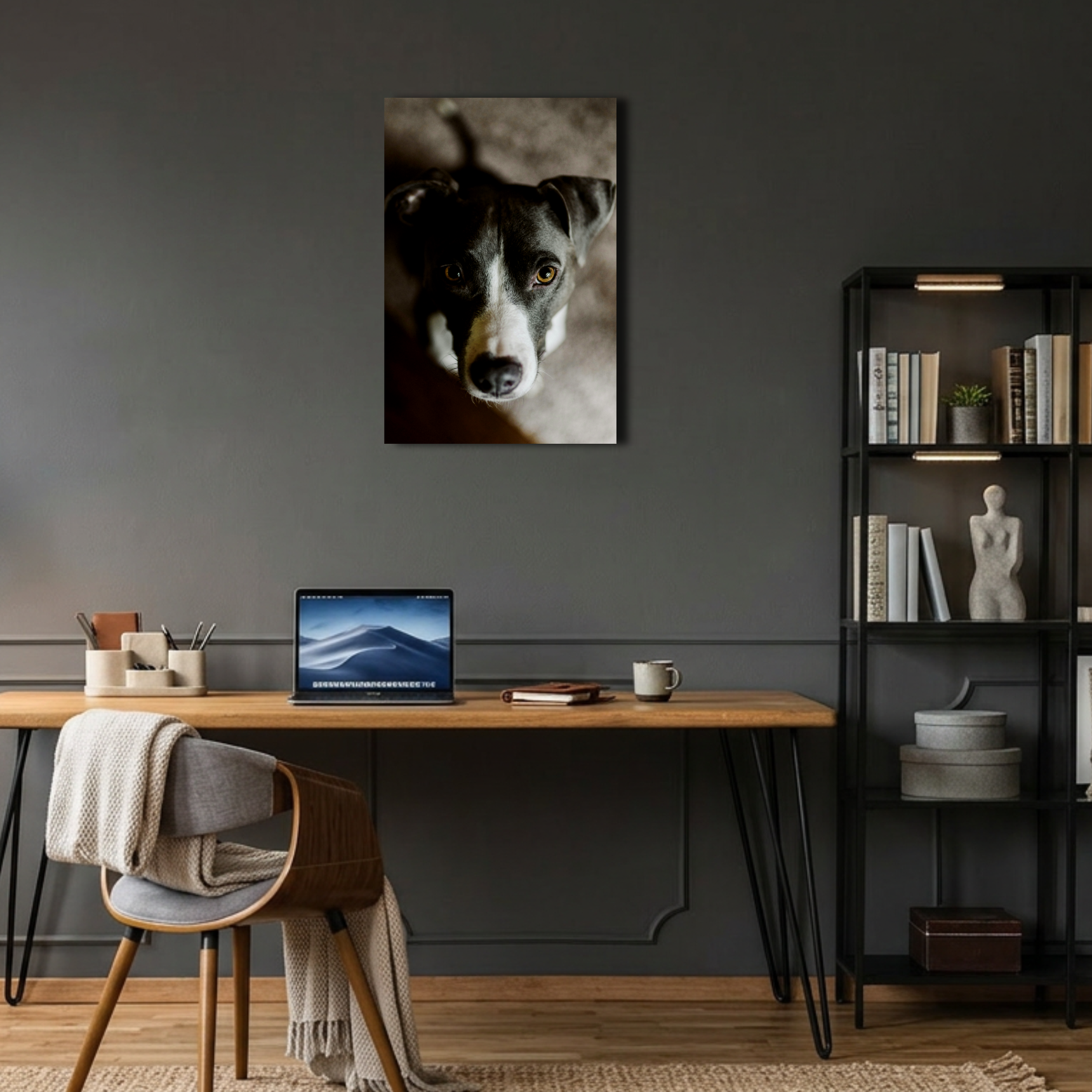 Masum Bakışlı Köpek Metal Poster