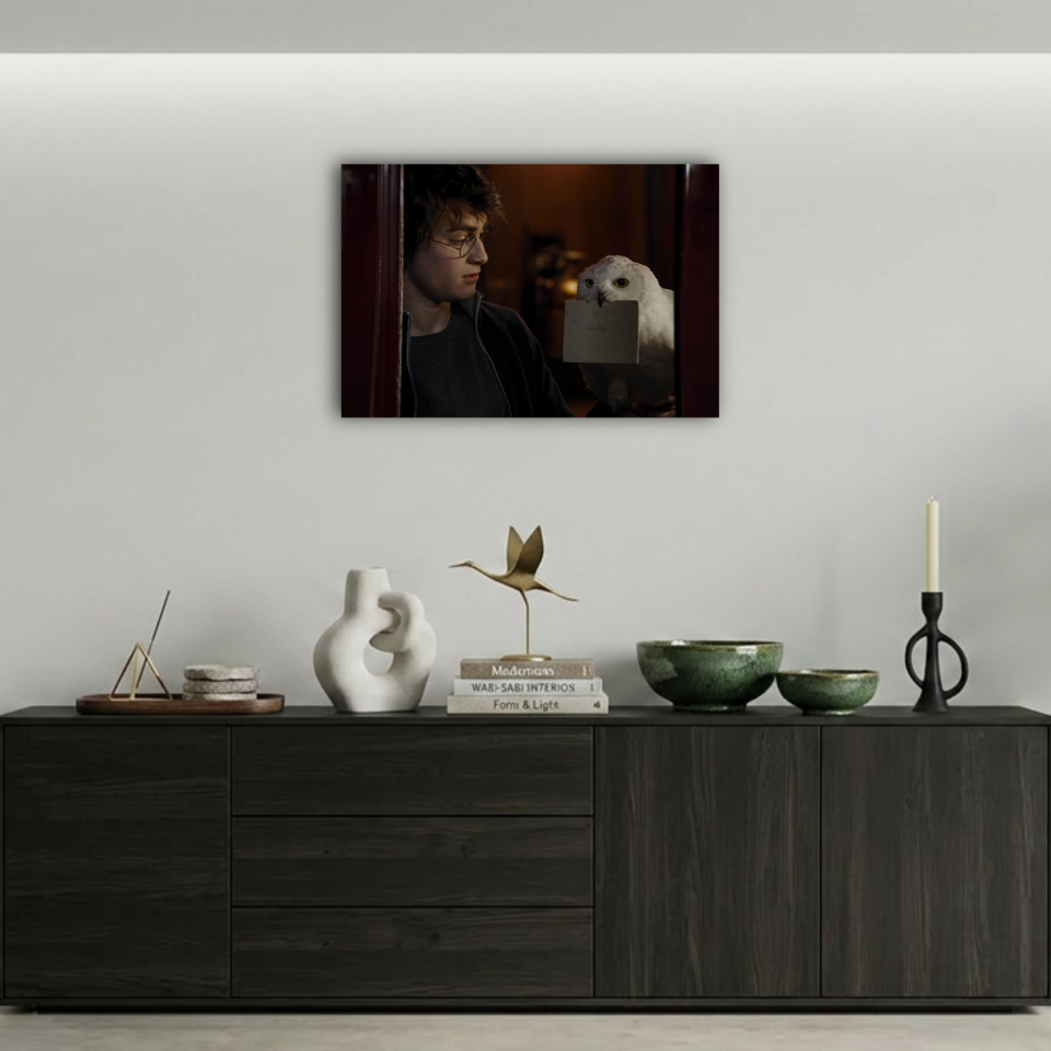 Harry Potter ve Hedwig Sirius Black Mektubu Metal Poster