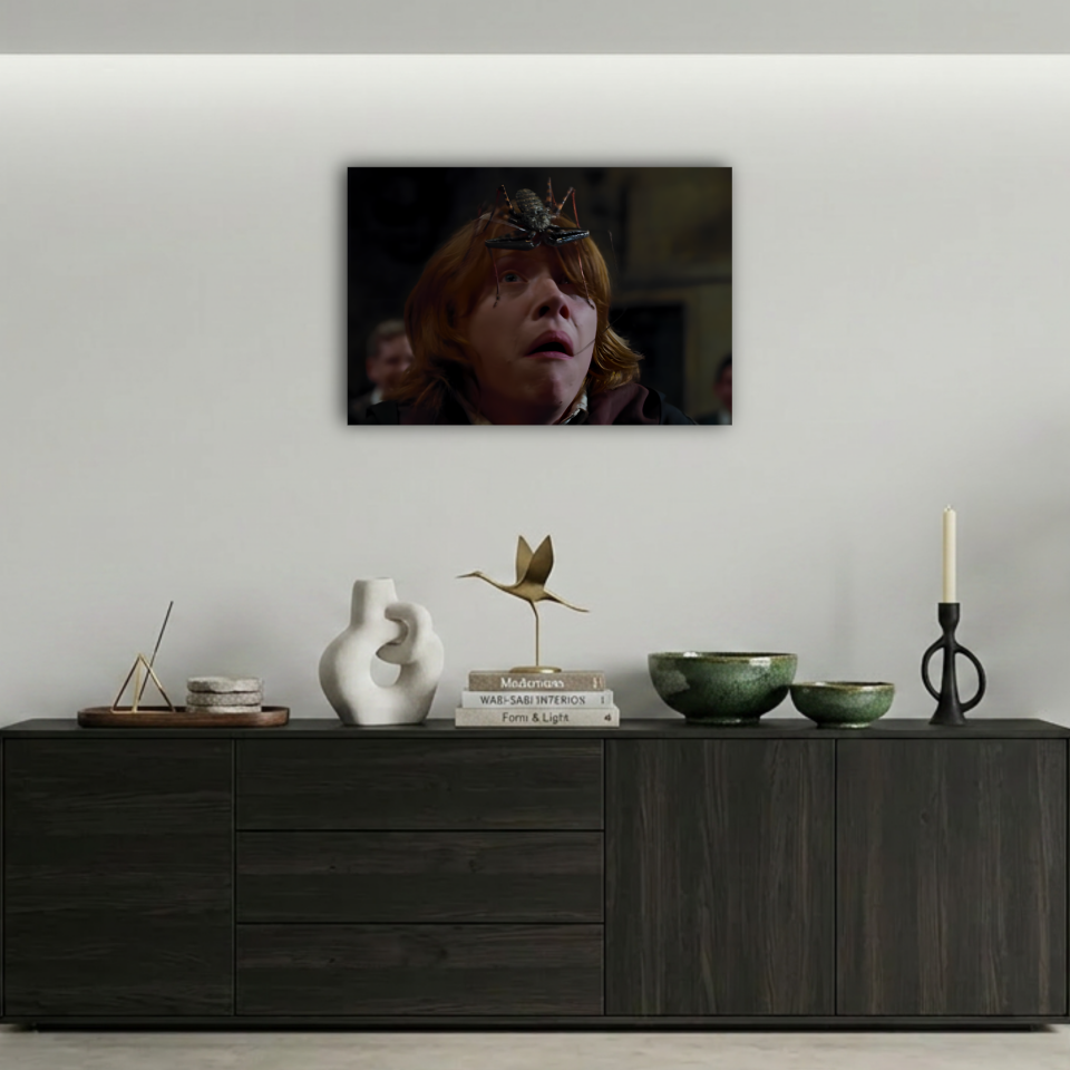 Harry Potter Ron Weasley ve Örümcek Sahnesi Metal Poster