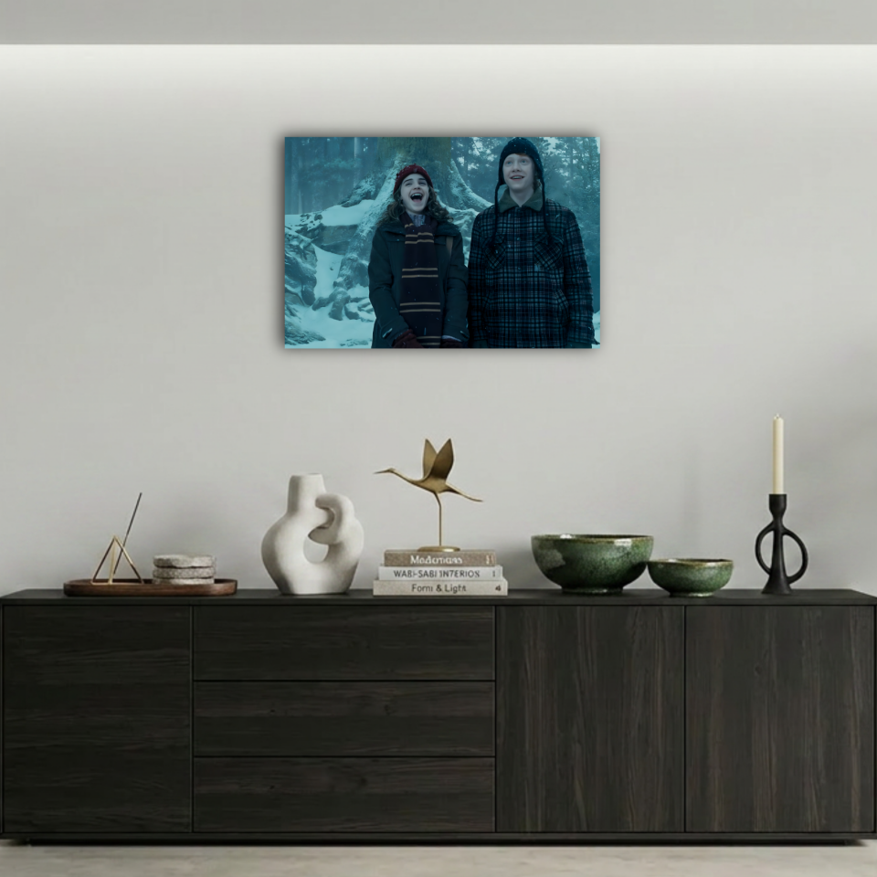 Harry Potter Hermione ve Ron Kar Sahnesi Metal Poster